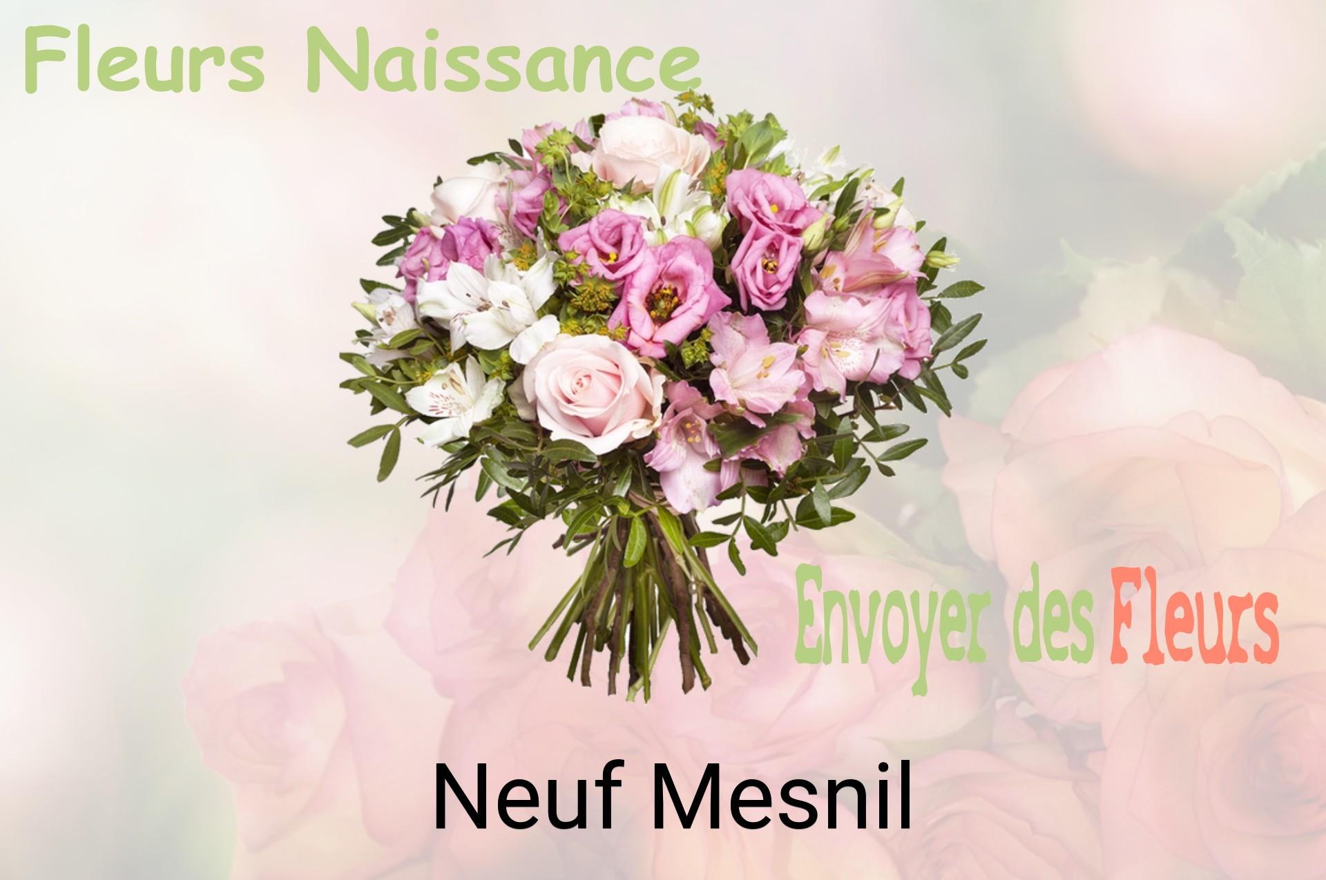 Bouquet de fleurs de naissance livré à Neuf-Mesnil