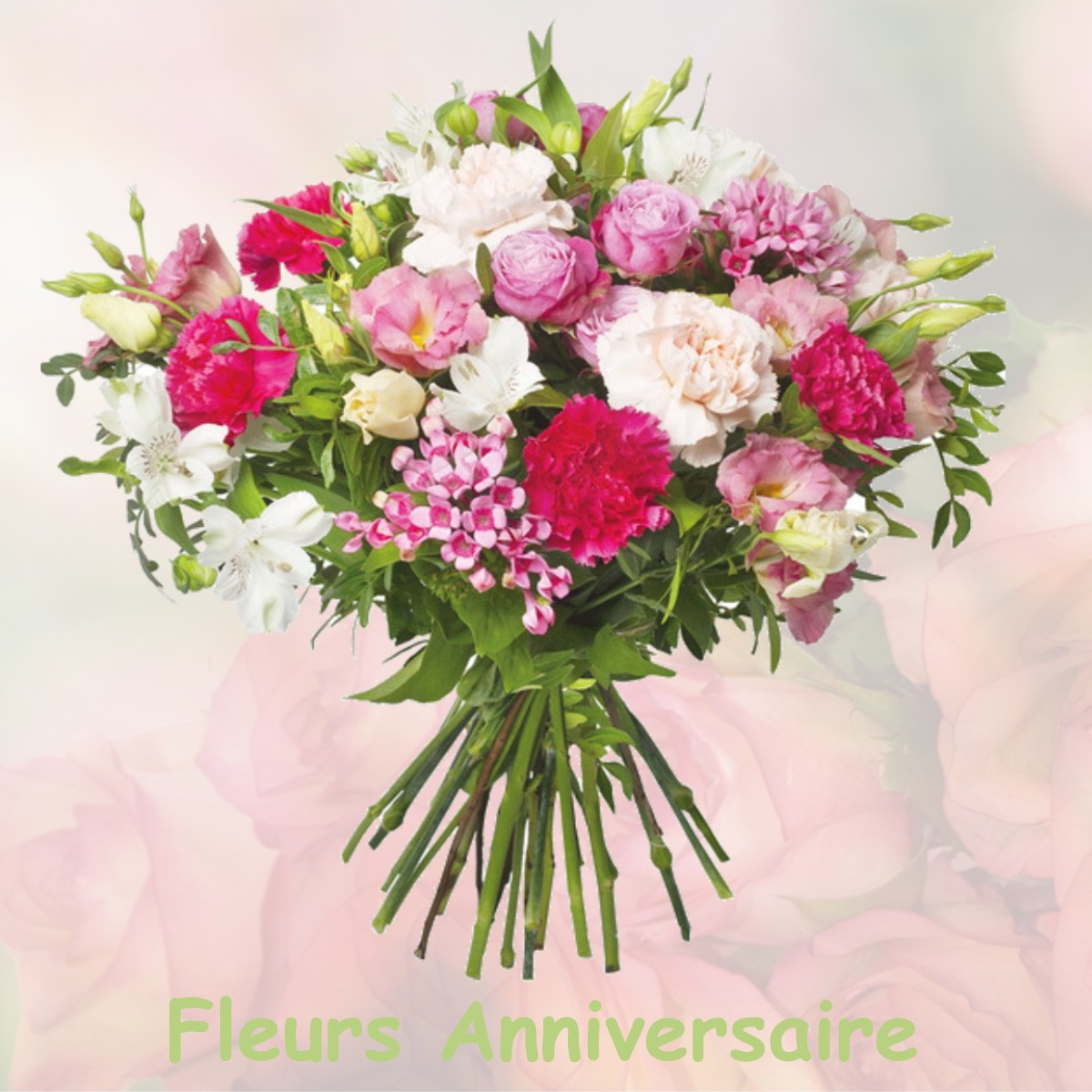 fleurs anniversaire NEUF-MESNIL